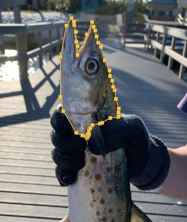 Holding a fish